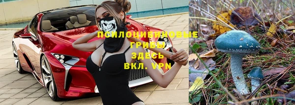 марки lsd Алексеевка